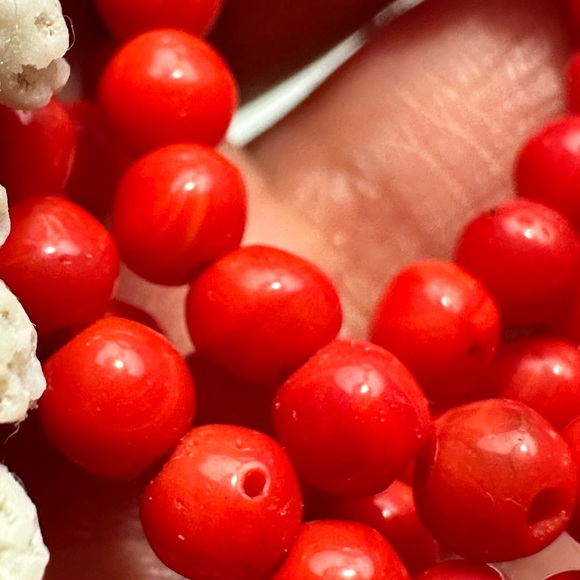 Red Coral Beaded Necklace + Large White Coral Pendant - Picture 9 of 13